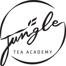 logo_jungle