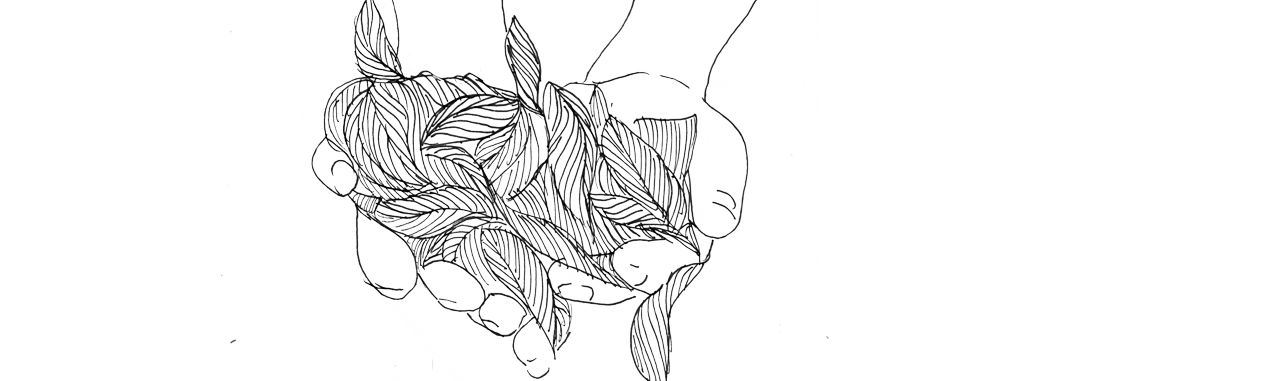 web